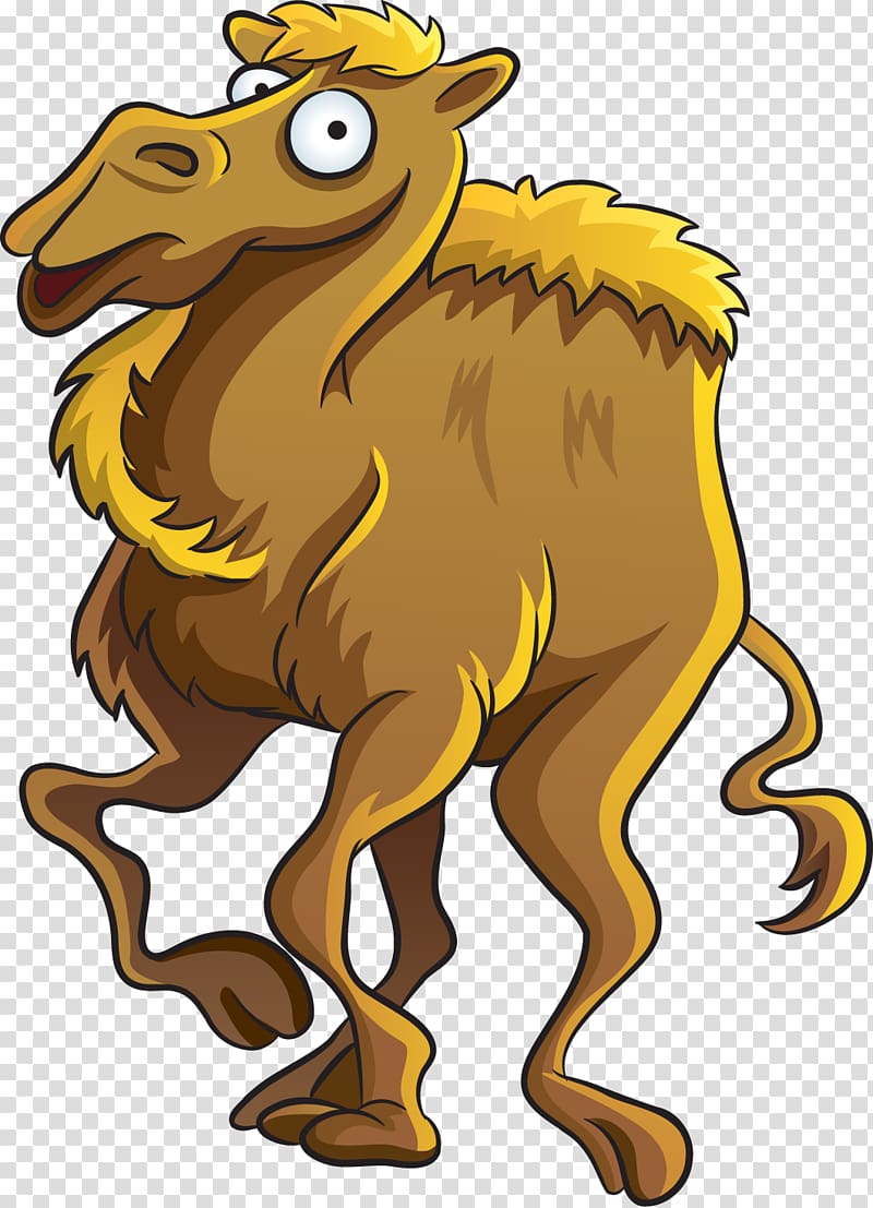 Camel Cartoon , painted camel transparent background PNG clipart