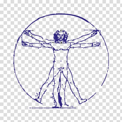 Vitruvian Man Art Composition Drawing, painting transparent background PNG clipart