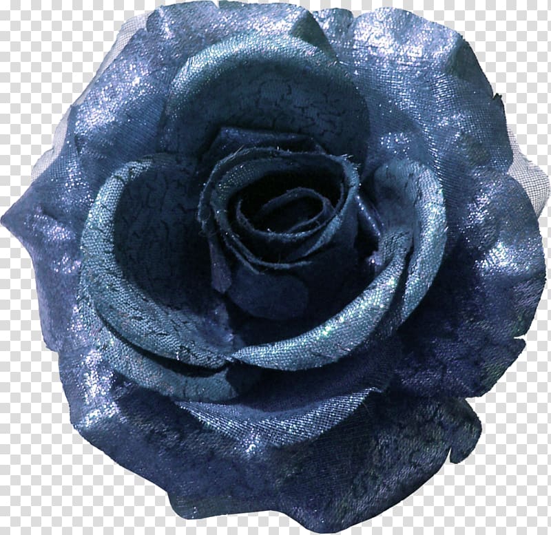 Blue rose Garden roses Flower , flower transparent background PNG clipart