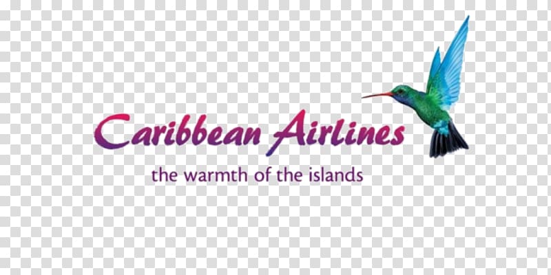 Piarco International Airport Cheddi Jagan International Airport Caribbean Airlines Limited Flight, Beat advertising transparent background PNG clipart