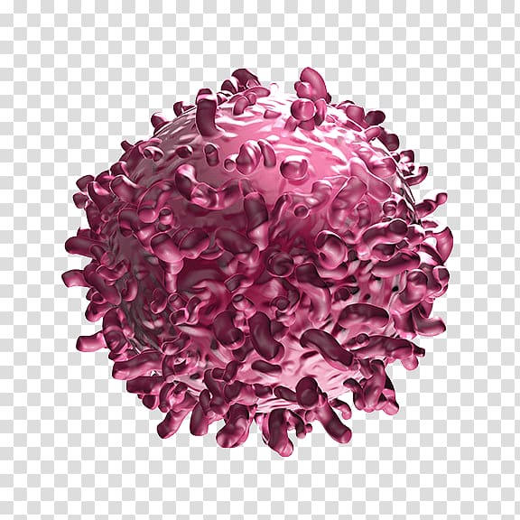 pink cell illustration, Bi-specific T-cell engager Cancer cell Bispecific monoclonal antibody T cell, cancer cell cartoon transparent background PNG clipart