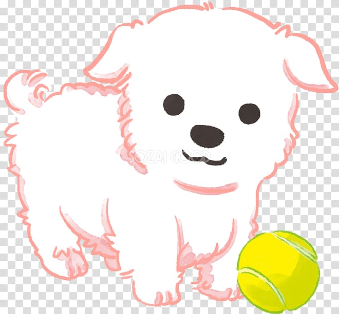 Puppy Maltese dog , puppy transparent background PNG clipart