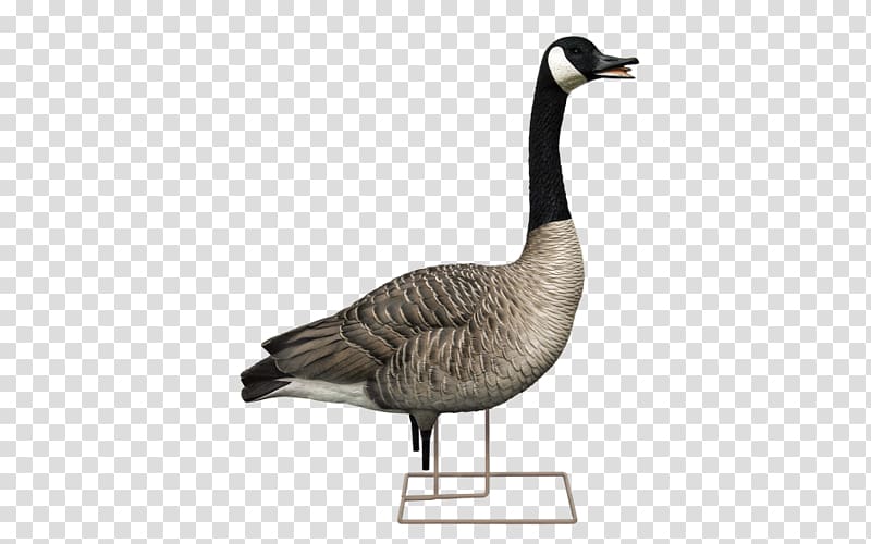 Canada Goose Decoy Duck, goose transparent background PNG clipart