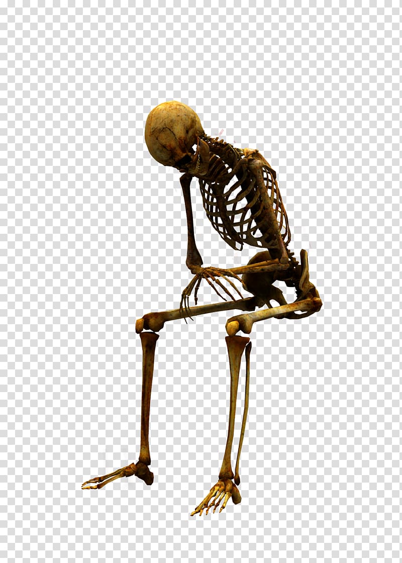 human skeleton sitting , Human skeleton Arabic calligraphy, skeleton transparent background PNG clipart