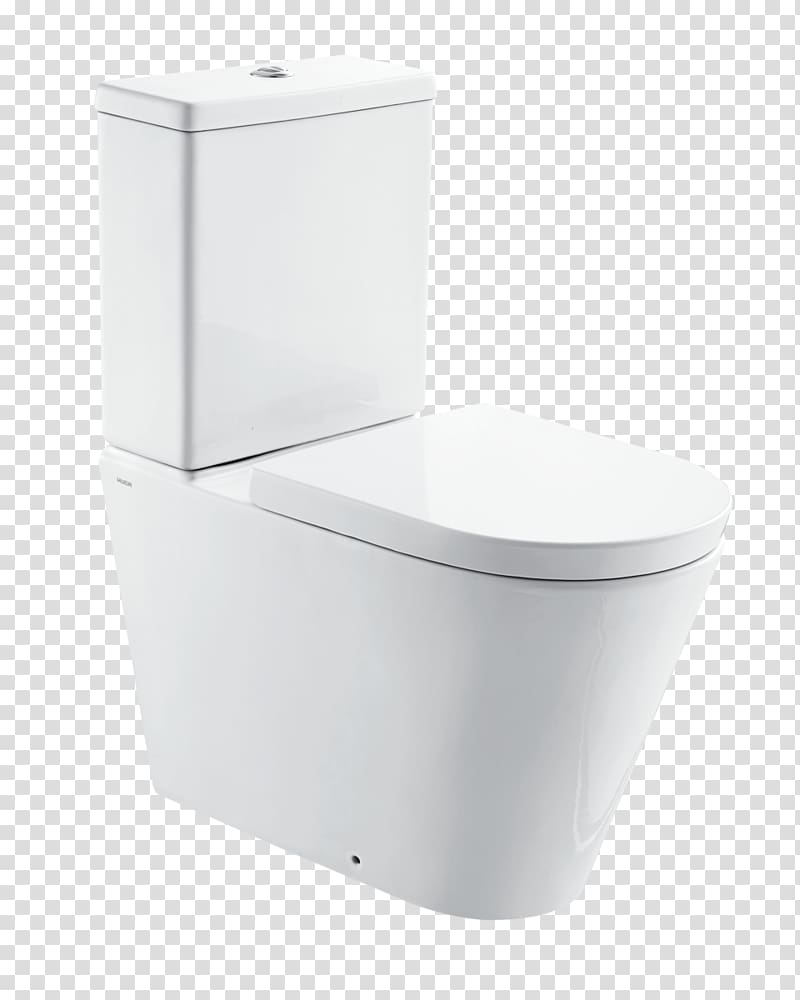 Flush toilet Squat toilet Bathroom Roca Plumbing Fixtures, toilet transparent background PNG clipart