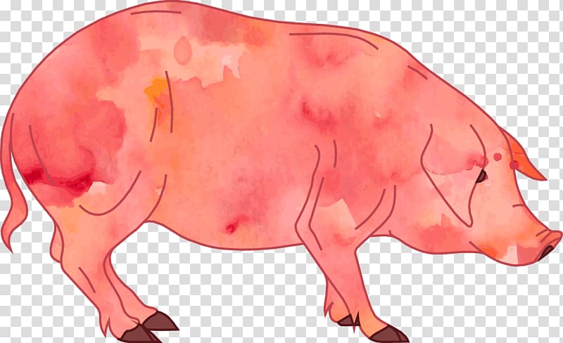 Pig Cartoon , Pig watercolor transparent background PNG clipart