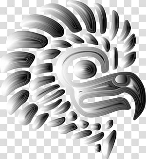 Mexican Eagle transparent background PNG cliparts free download | HiClipart