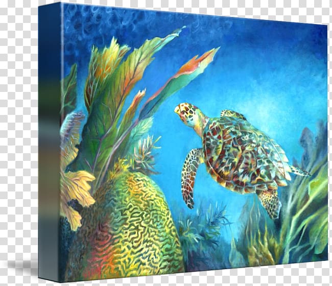 Sea turtle Coral reef fish Marine biology Ecosystem, Hawksbill Sea Turtle transparent background PNG clipart