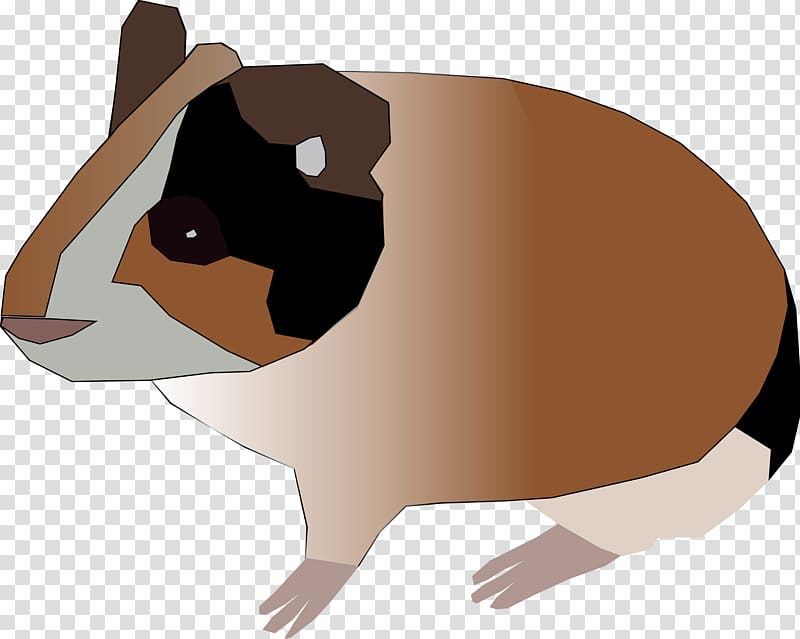 Guinea pig Rodent Hamster , small hamster transparent background PNG clipart
