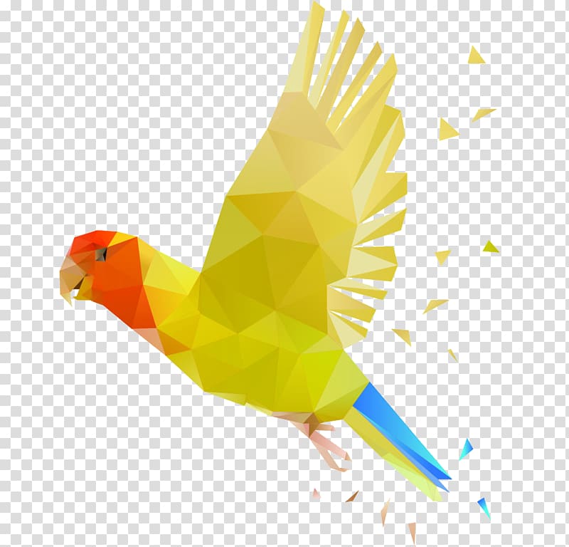 Parrot Bird, Polygon parrot transparent background PNG clipart