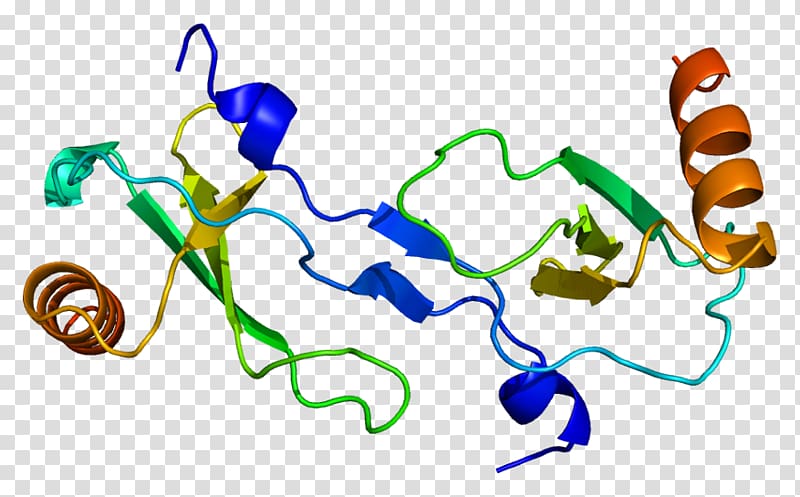 CCL2 Chemokine Monocyte Protein Cytokine, data structure transparent background PNG clipart