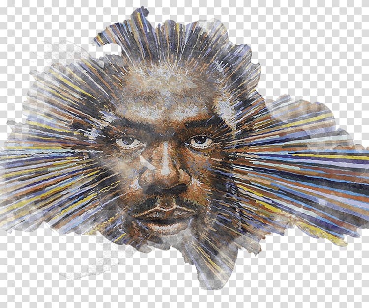 Porcupine Whiskers Snout Fauna, Usain Bolt transparent background PNG clipart