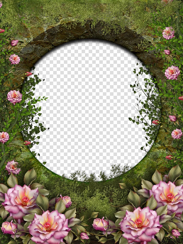 Rose garden Garden roses, frame transparent background PNG clipart