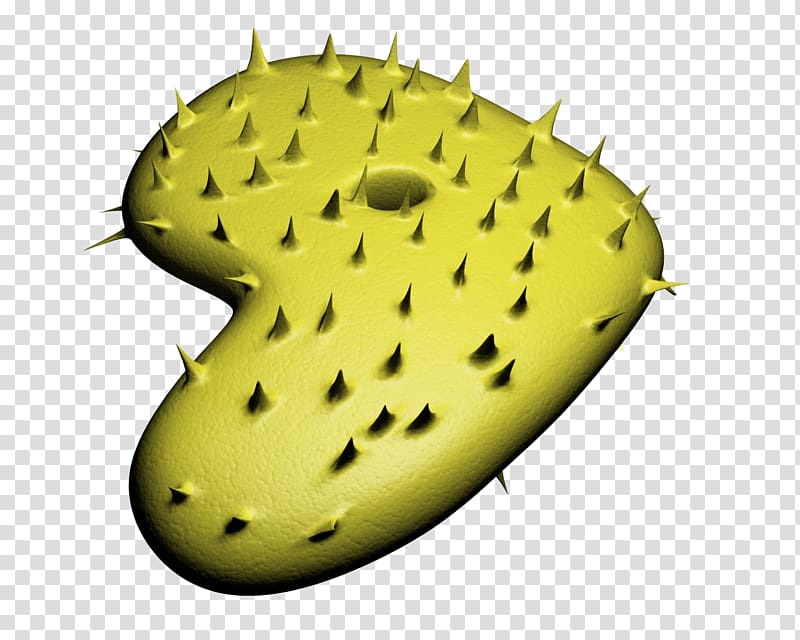 Gentoo Linux Insect Linux distribution Nopal, insect transparent background PNG clipart