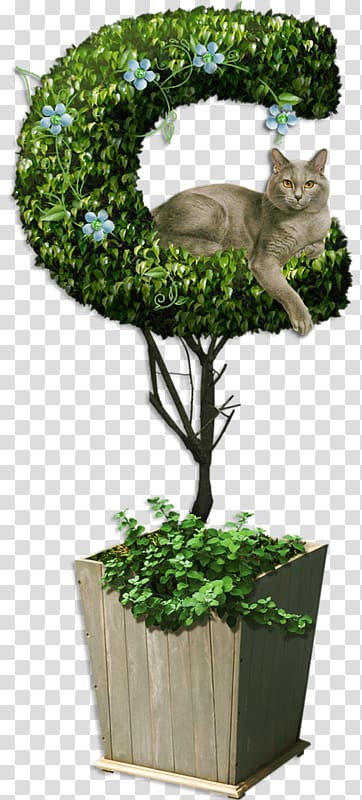 kitten on the garden trees transparent background PNG clipart