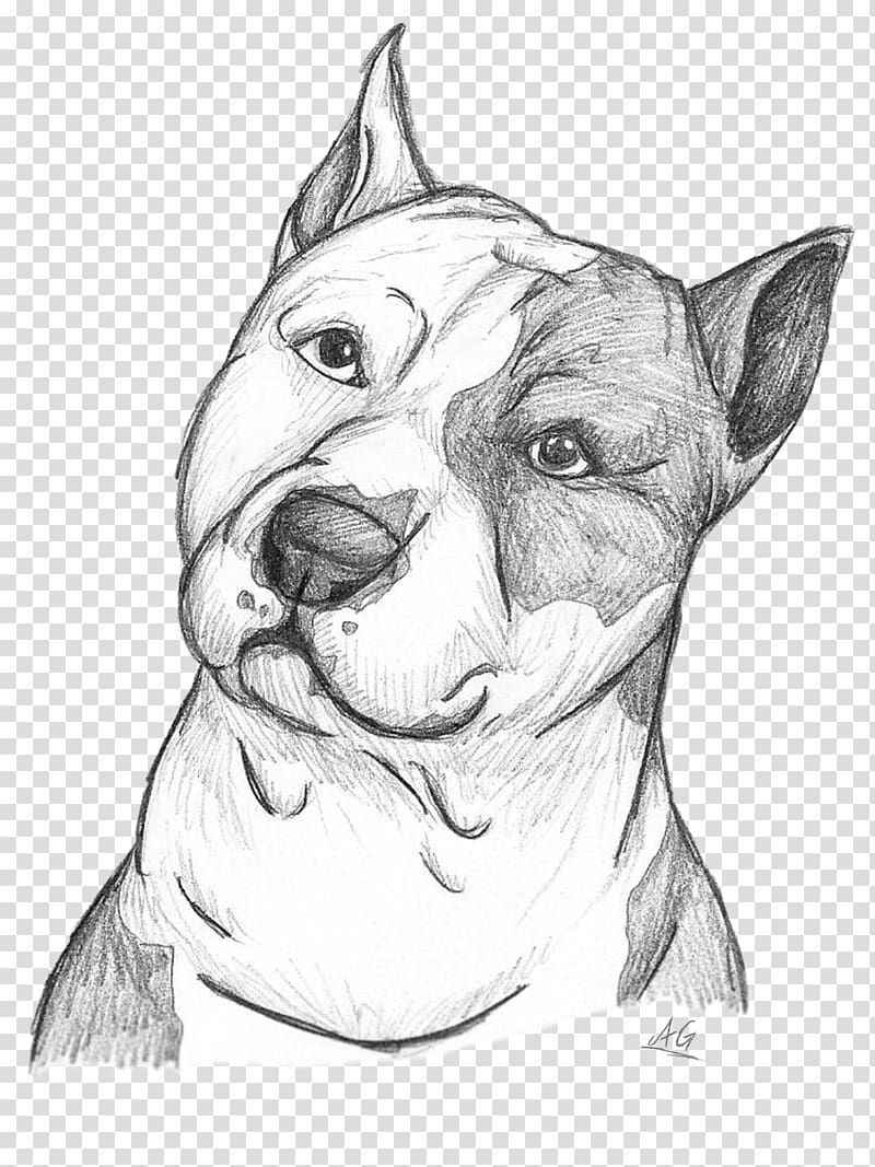 Dog breed American Pit Bull Terrier American Staffordshire Terrier Sketch, pit bull dog transparent background PNG clipart