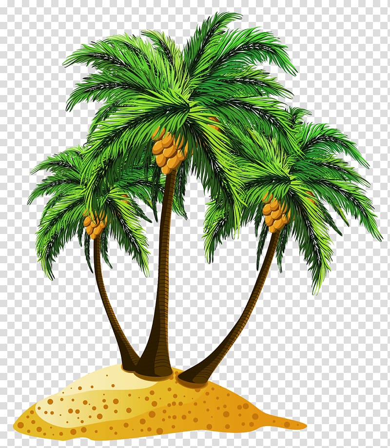 coconut tree illustration, Beach Tree , palm tree transparent background PNG clipart