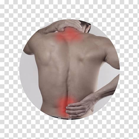 Massage Physical therapy Chiropractic Neck pain, others transparent background PNG clipart