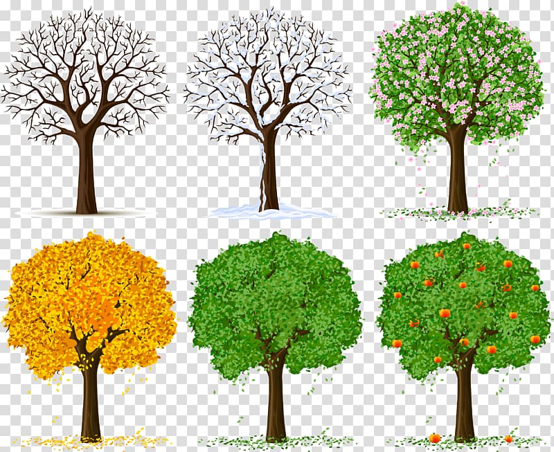 Tree Silhouette , spring tree transparent background PNG clipart