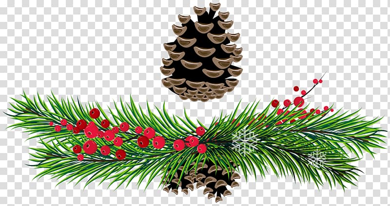 Pine Conifer cone Christmas , Green Branch transparent background PNG clipart