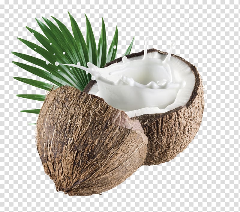 Coconut illustration, Coconut milk powder Organic food Coconut water, Brown simple  coconut decoration pattern transparent background PNG clipart