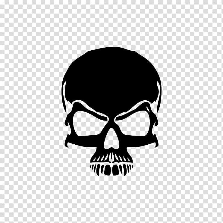 Skull SHOOTING BAR FIVE Fond blanc Science Facial skeleton, skull transparent background PNG clipart