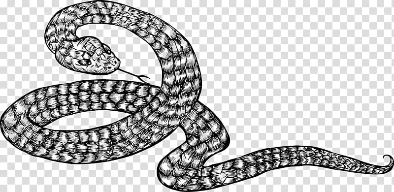 Kingsnakes Black and white Illustration, Coiled snake transparent background PNG clipart