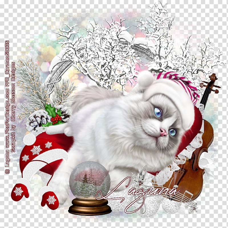 Cat Kitten Christmas Whiskers Carnivora, puss in boots transparent background PNG clipart