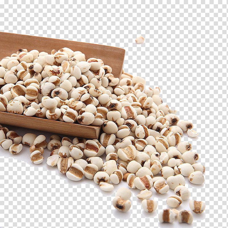Adlay Barley Seed Rice, Barley rice farm produce transparent background PNG clipart