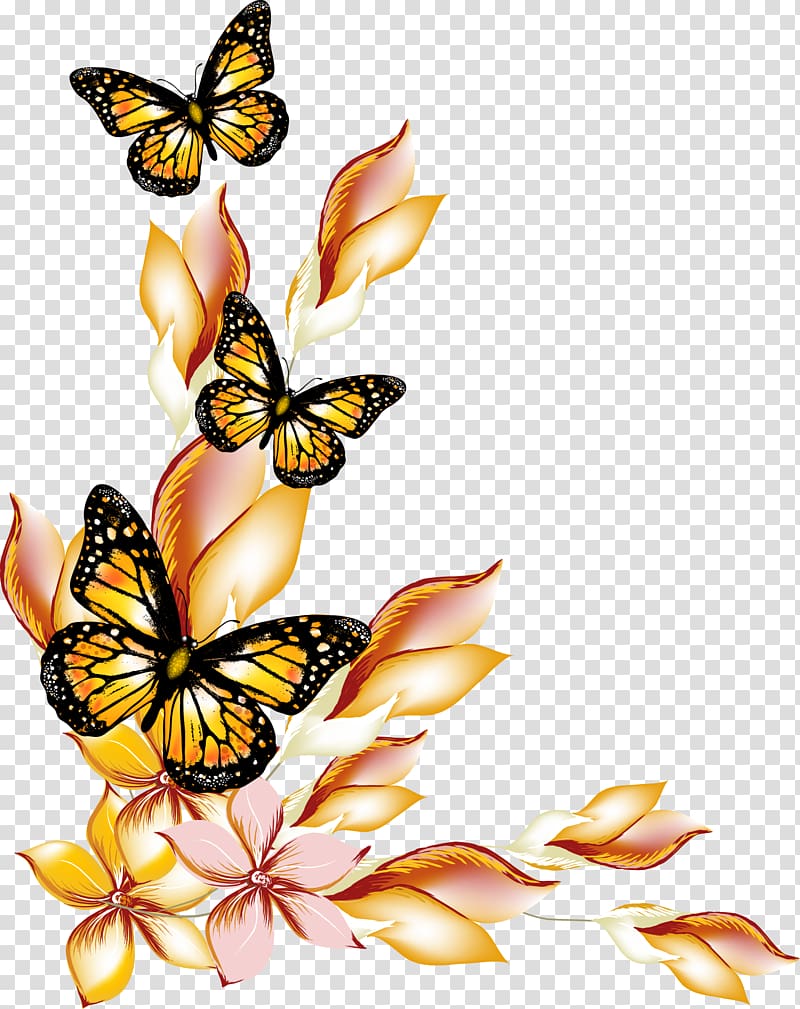 three brown-and-black butterfly illustration, Butterfly Flower, Flowers and butterflies borders transparent background PNG clipart
