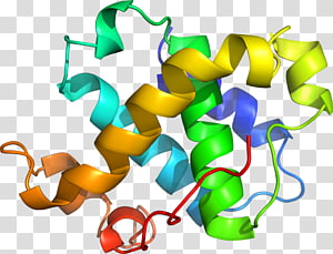 Line , design transparent background PNG clipart thumbnail