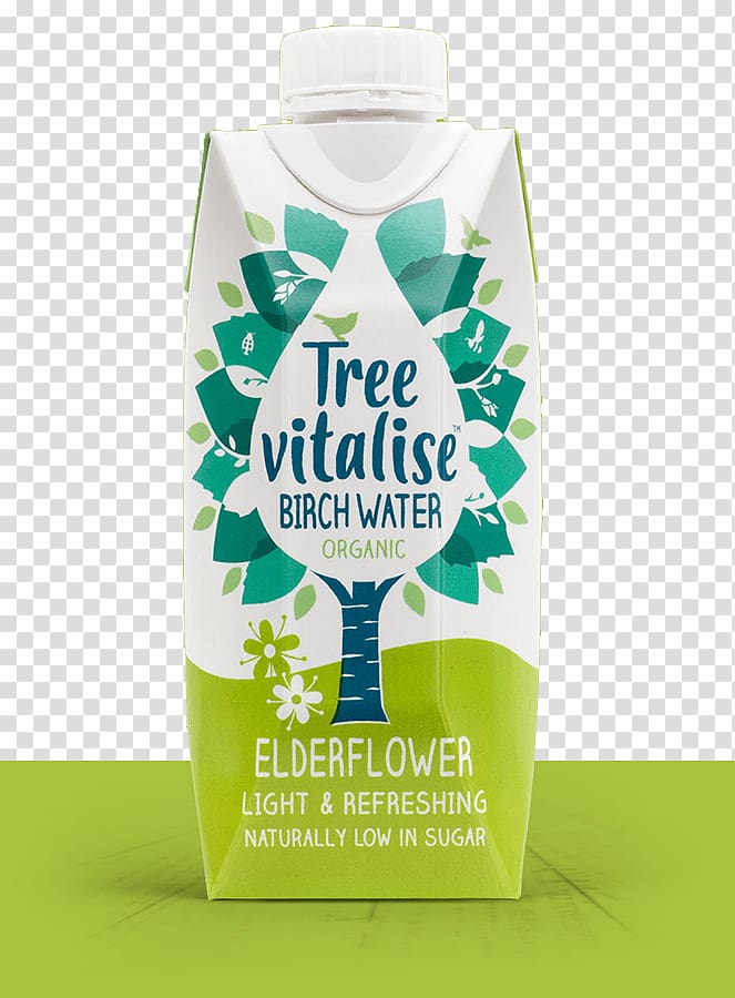 Newcastle upon Tyne Web design Tekkie Digital, birch trees transparent background PNG clipart