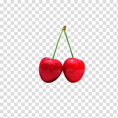 Sweet Cherry Cerasus Flavor Drupe, Cherry physical material transparent background PNG clipart