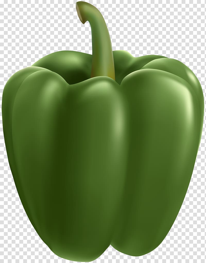 Green bell pepper Chili pepper Vegetable , vegetable transparent background PNG clipart