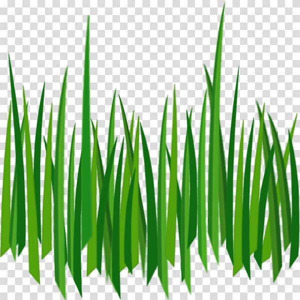 Lawn , Grass Green Grass transparent background PNG clipart