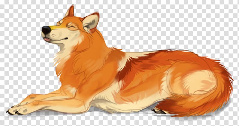 Red fox Dog Drawing, Dog transparent background PNG clipart