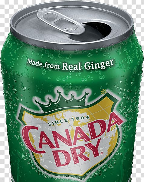 Fizzy Drinks Ginger ale Ginger beer Root beer Vernors, Dry taste transparent background PNG clipart