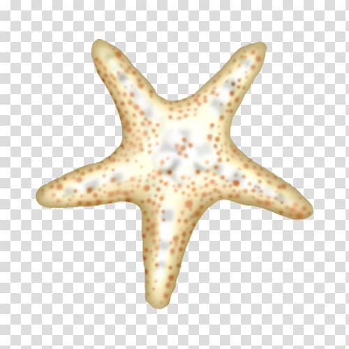 Starfish Cartoon, Cartoon spotted starfish transparent background PNG clipart