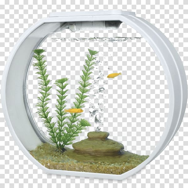 Aquarium Filters Siamese fighting fish Aquariums, fish tank transparent background PNG clipart