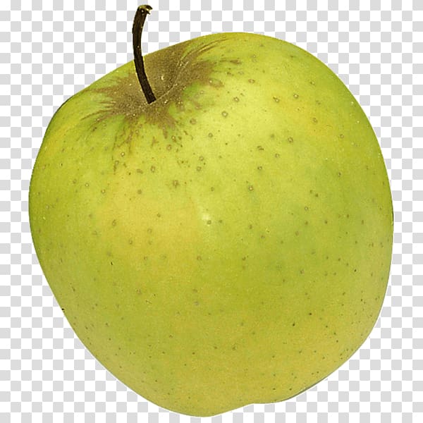 Granny Smith Cox S Orange Pippin Golden Delicious Apple Jonagold Apfel Grafik Transparent Background Png Clipart Hiclipart