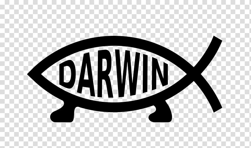 Car Decal Bumper sticker Darwin-Fisch Ichthys, car transparent background PNG clipart