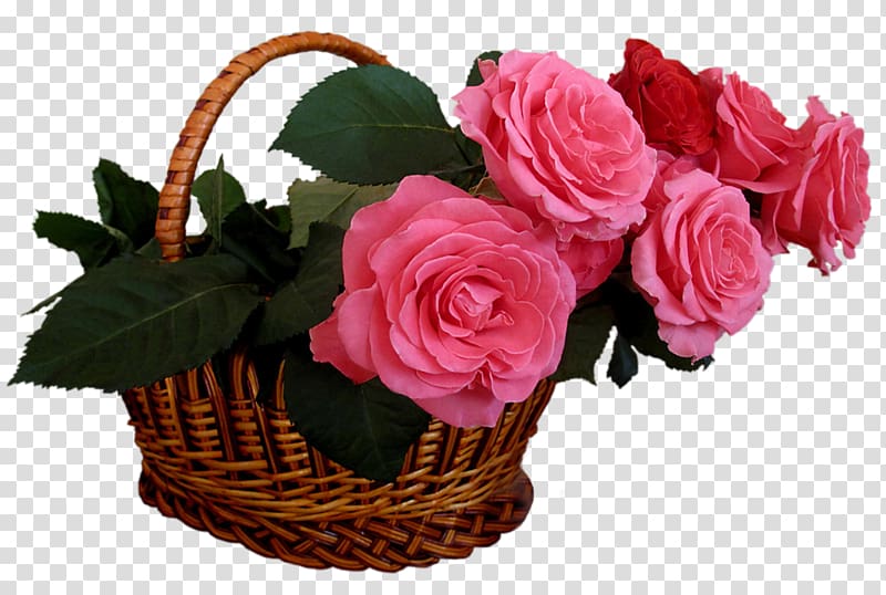 Garden roses Flower bouquet Pink, buket transparent background PNG clipart
