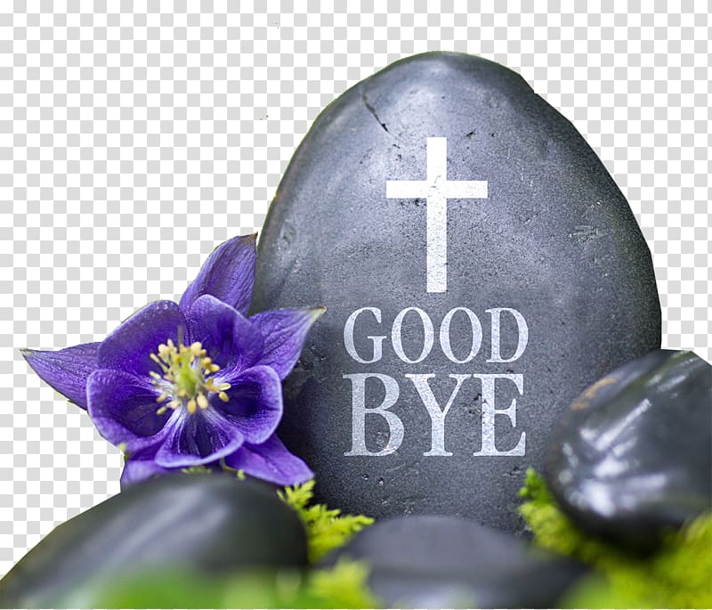 Life After Life Henry Van Cleve Afterlife Death Reincarnation, Stone lettering, goodbye transparent background PNG clipart