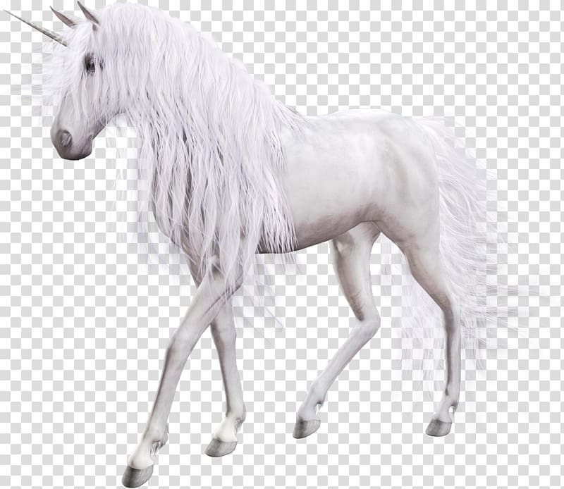 The Black Unicorn Horse Pegasus, unicorn transparent background PNG clipart