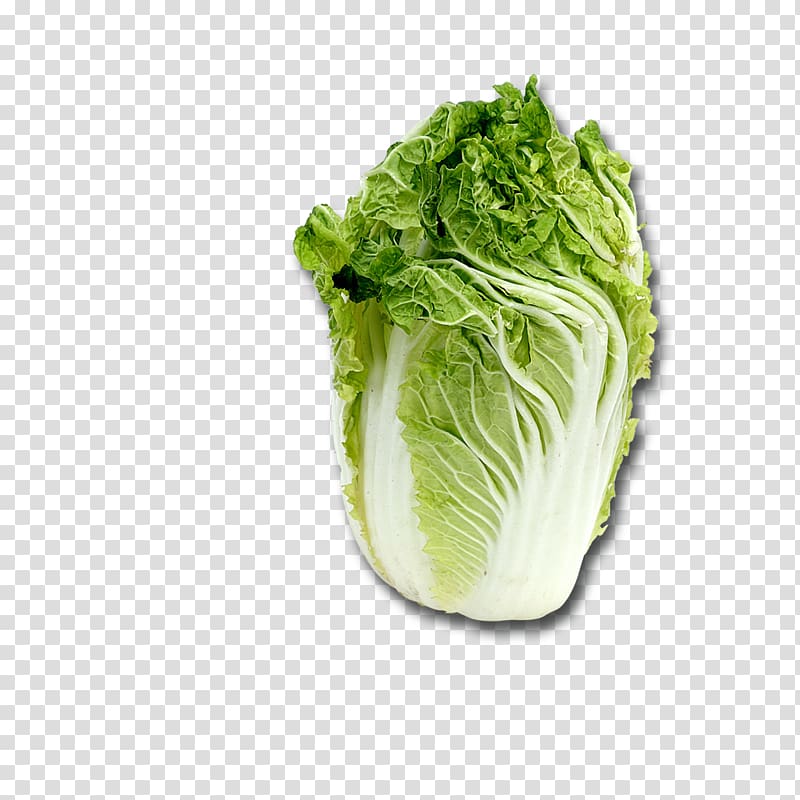 Chinese cuisine Napa cabbage Chinese cabbage Kimchi, avocado transparent background PNG clipart