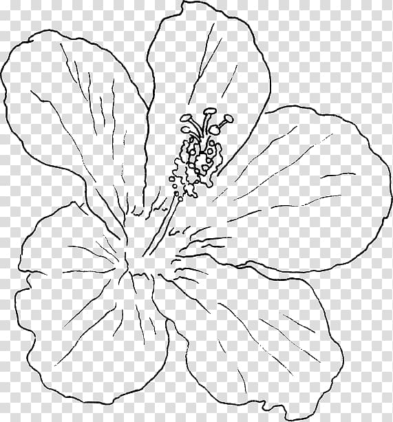 Shoeblackplant Hawaiian hibiscus Swamp rose mallow Drawing Flower, flower transparent background PNG clipart