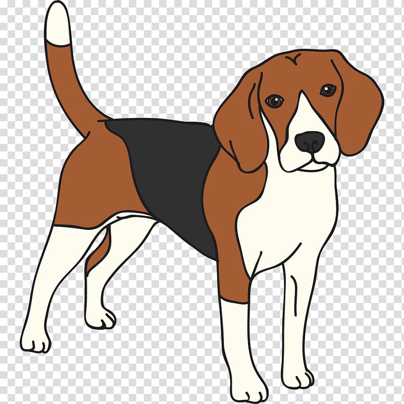 Beagle English Foxhound American Foxhound Cat Leash, Cat transparent background PNG clipart