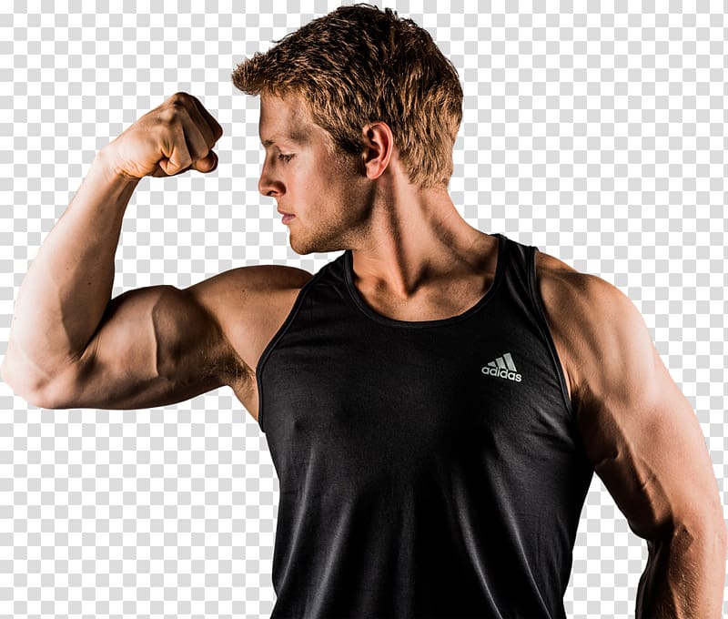 Bodybuilding transparent background PNG clipart