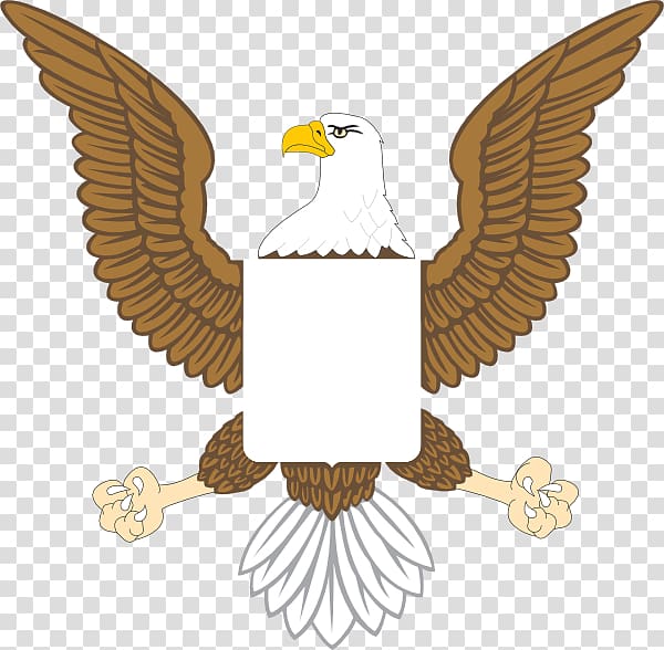 Bald Eagle United States , eagle transparent background PNG clipart