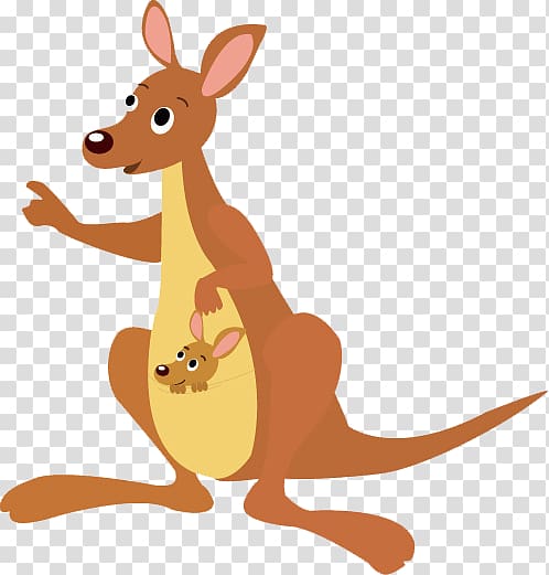 kangaroo transparent background PNG clipart